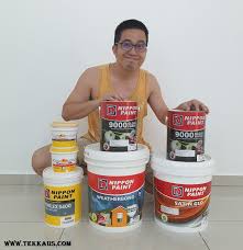 4 Diffe Nippon Paints For Our New