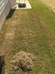 dethatching question lawn care forum