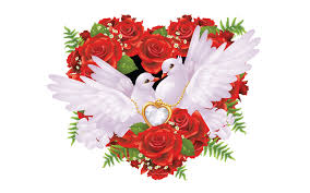 heart from red roses romantic love on