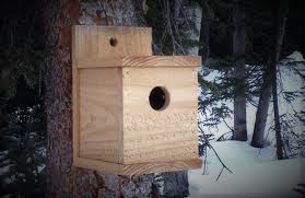 Modern Cedar Fence Picket Birdhouse Kit