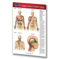 Trigger Points Perma Chart