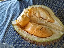 Buah yang hampir sama dengan durian tapi rasanya lebih manis dan bisa tumbuh sangat besar. Durian Kahwin Ataupun Durian Kampung Blog Luthfi Sekadar Nukilan