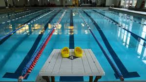 Here are some tips for setting yourself apart on the phone and preparing for those conversations. Legacy Of Tom Burek A Small Town Swim Coach Felled By Covid 19