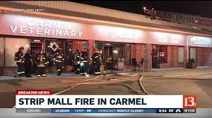 pets saved from carmel strip mall fire