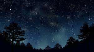 dark night sky full of stars over trees