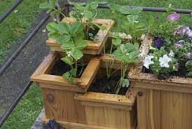 How To Build A Tiered Planter Box