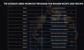 arnold schwarzenegger workout routine