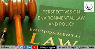 perspectives on environmental law and