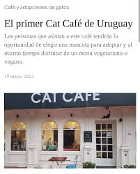 Adrianuzca's CAT CAFÉ - Inicio | Facebook