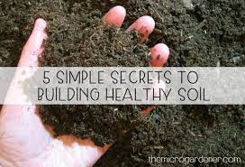 Simple Secrets To Building Healthy Soil