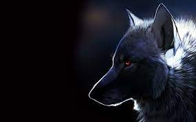 700 wolf wallpapers wallpapers com