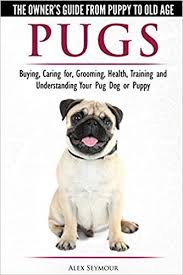 Pugs The Owners Guide From Puppy To Old Age Choosing