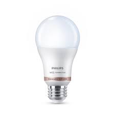 Google Assistant Smart Light Bulbs Smart Lighting The Home Depot
