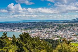 Information on accommodation, activities, attractions, events, restaurants, shopping, maps, conferences and tours in dunedin, new zealand. Citytalk Dunedin New Zealand Has Divested From Fossil Fuels Here Is Why And How