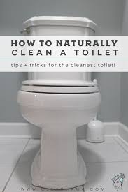 how to naturally clean a toilet clean