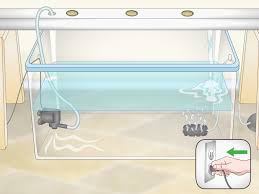 build a homemade hydroponics system