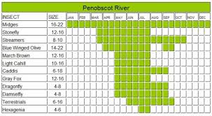 Penobscot River Hatch Chart