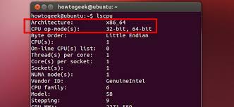 Under windows specifications, check which edition and version of windows your device is running. How To Check If Your Linux System Is 32 Bit Or 64 Bit