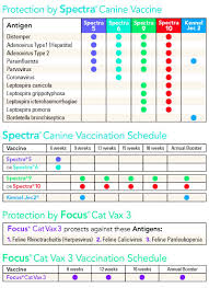 Protect Your Pet With At Home Vaccines Wilco Farm Stores