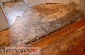 disinfect wood floors after water damage