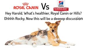 Hills Science Diet Vs Royal Canin The Ultimutt Appraisal 2019