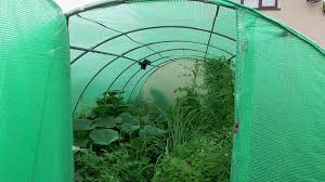 Self Sufficient Greenhouse Gardening