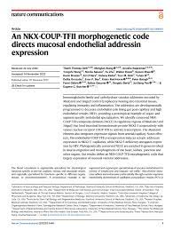 PDF) An NKX-COUP-TFII morphogenetic code directs mucosal endothelial  addressin expression