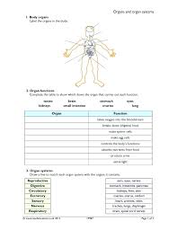 Steps parts worksheet body of worksheet , see parts body parts worksheet learningenglish cos educational coloring body parts kids use zag the : Skeletal System Interactive Worksheet Science Worksheets Human Skeleton Website Free Printable Solve Calculator Steps Academy Math Practice Air Test Body Sumnermuseumdc Org