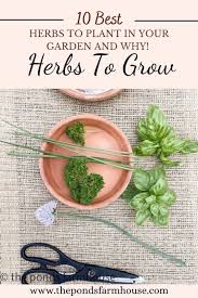 10 Best Herbs To Grow Why Recipes