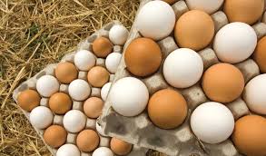 All About Eggs Colors Sizes And Grades Farm And Dairy
