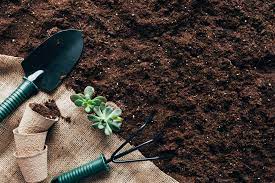 topsoil vs garden soil what s the