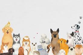 pet wallpaper images free on