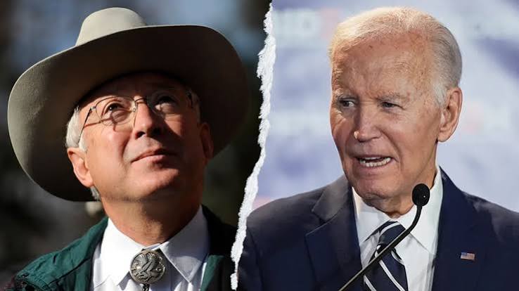 Former US ambassador says Biden woke up too late on border crisis | Fox News