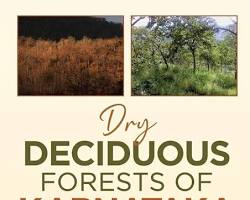 Image of Dry Deciduous Forest Karnataka