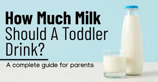 How Much Milk Should A Toddler Drink