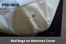 Bed Bugs With A Mattress Cover