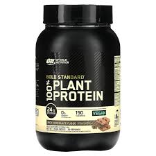 plant protein rich chocolate fudge