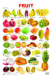 Educational Charts Series Fruit Chart 5