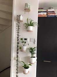 Wall Planter Pots Ideas