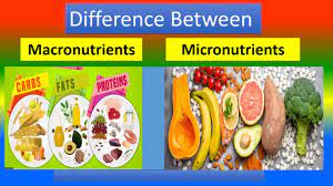 difference between macronutrients and
