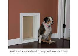 Wall Mounted Dog Doors Ranger Pet