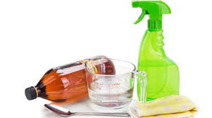 pet owners vinegar for cleaning