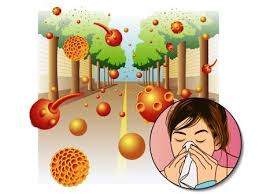 allergic rhinitis causes remes