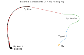 How To Match A Fly Rod Fly Reel Fly Line Leader And