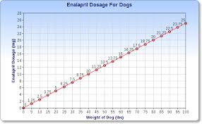 Enalapril For Dogs Veterinary Place