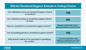 Emotional support dog sample letter an emotional support dog sample letter may be something you are curious about if you are airline staff, a landlord, property manager, mental health professional, or perhaps even a patient. Emotional Support Animals In College Dorms Esa Doctors