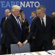 Risultati immagini per summit new york nato clima