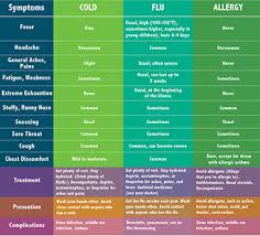 Cold Flu Or Allergy
