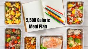 a 2500 calorie meal plan that works