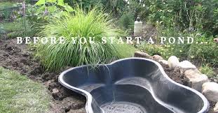 how to start a pond in your backyard